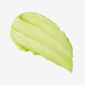 AVOCADO-MAKEUP-MELTER2